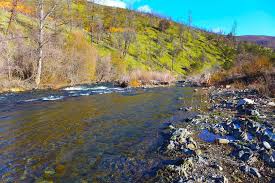 398 Acres of Recreational Land for Sale in French Gulch, California -  LandSearch