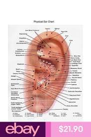 Pin On Reflexology Chart