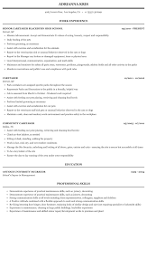 caretaker resume sample mintresume