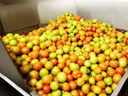 Copyright © 2021 gb industries sdn bhd. Pun Chou Sdn Bhd Home Facebook