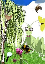 Papierblumen selber basteln 5 ideen talu de. Https Www Stadt Koeln De Mediaasset Content Pdf57 Dienaturentdeckenmithubert Stadtk Ln 07 2013 Klein Pdf