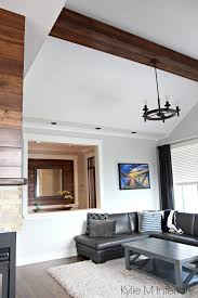 The key, say our experts, is to filter out the glare without dampening the drama of these lovely spaces. The 11 Best Benjamin Moore Paint Colours For A South Facing Room Kylie M Interiors