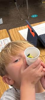 Freddie's Farm at Northwood Hills Elementary