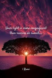 By dividing into different categories. Sufi Quotes Spirituality Hindi In 2021 Rumi Quotes Rumi Quotes Soul Rumi Love Quotes