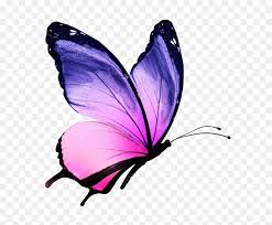 Butterfly drawing i drew this blue butterfly and i really like how it turned out! Butterfly Drawing With Colour Hd Png Download Vhv