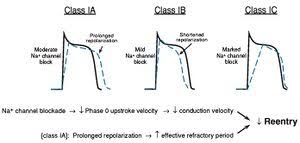 Image result for Procainamide