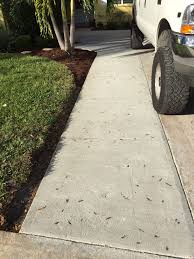 Driveway Widening So Glad I Did This Garden Yard Ideas House Landscape Universal Design