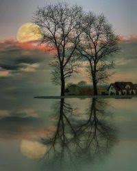 The spruce / jaime knoth free jigsaw puzzles are a great way to relax while challenging your mind at the same tim. Fltergrvjcktym