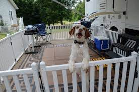 Check spelling or type a new query. Picket Play Is A Portable Fencing System Designed To Keep Your Pets Safe While Camping Or At Home Portable Dog Fence Rv Dog Fence Dog Camping