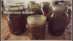 Stick to dried beans, soaked and partially cooked, in soup recipes for pressure canning. Pin On Homesteading Tips And Tricks