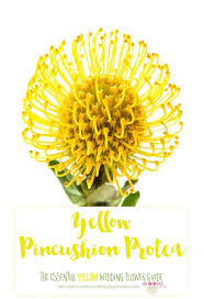 Whether you prefer big and bold or small and subtle, there are many yellow flower choices for creating the perfect arrangement. Names And Types Of Yellow Wedding Flowers With Pics Flower Tips Yellow Wedding Flowers Carnation Wedding Flowers Red Wedding Flowers