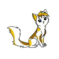 How to draw firestar from warrior cats? Jmefl7z42vzoem