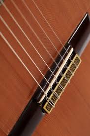 Image result for Flamenco 1980 MG