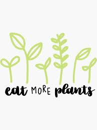 Aesthetic Plants Stickers for Sale | Redbubble