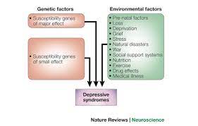 Sorry, i couldn't find a youtube video on. Research And Treatment Approaches To Depression Nature Reviews Neuroscience