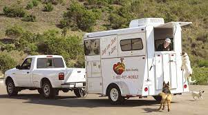 Aussie pet mobile comes to you and offers a complete range of cat grooming services. Aussie Pet Mobile Southern California Mobile Grooming For Cats Dogs