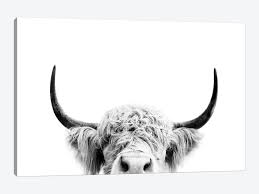 Check spelling or type a new query. Peeking Cow In Black White Art Print By Sisi Seb Icanvas
