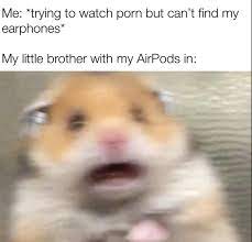 A Wrestling Match With A Lot Of Screaming Memes Meirl by radish00 more memes.