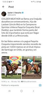 Derwin (@NENETWITER)