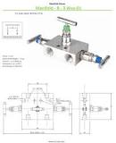 3 Way Manifold Valve and Three Way R/ T/ H Type 2 Valve Manifold