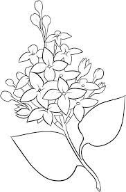 Picture Of Lilac Flower Coloring Page Coloring Sky Flower Coloring Pages Flower Drawing Lilac Flowers