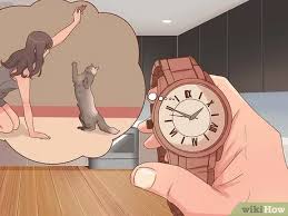 Flip her over, pet her. How To Train Your Cat To Fetch A Toy Mouse 10 Steps