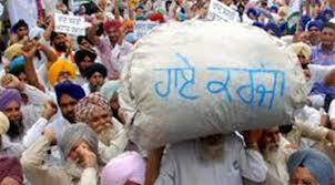 Agitated Farmers To Protest Against Punjab Government
