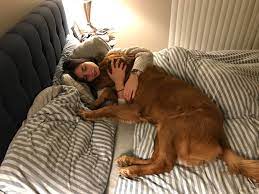 For example, would it be ok for. Walked In On My Wife With Another Man Aww