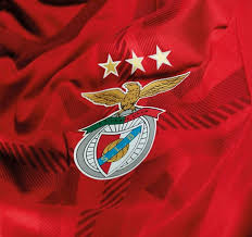 Slb sport portugal lisbon benfica glorioso 1904 sportlisboaebenfica aguia cosme damião | slb cosme damião. Estadio Do Sport Lisboa E Benfica Sport Lisboa E Benfica Benfica Wallpaper Fotos De Equipe
