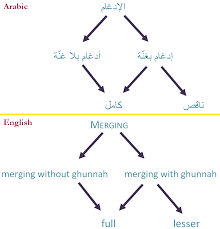 Noon Tajweed Me