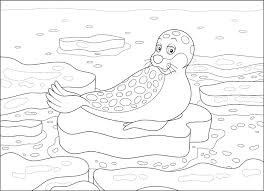 All these seal coloring pages for kids are just one click away! Free Seal Coloring Pages For Download Pdf Verbnow