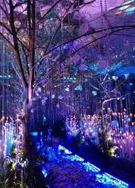 Check spelling or type a new query. 51 Ideas For Wedding Forest Enchanted Decor Enchanted Forest Wedding Forest Wedding Enchanted Wedding