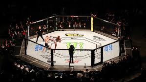UFC : qu'est-ce que le MMA ? | CNEWS