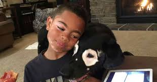 Un niño que padece vitiligo viajó a conocer a un perro con su misma  condición