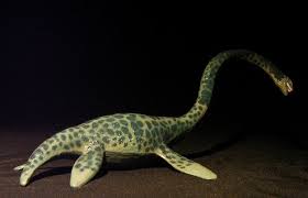 Image result for Elasmosaurus