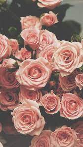 Maybe you would like to learn more about one of these? Flower Rose Gold Cute Flower Rose Gold Wallpaper Iphone Novocom Top