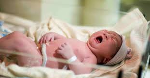 6.9 s/d 10.5 kg) termasuk dalam berat badan normal sesuai usianya. Tips Meningkatkan Berat Badan Bayi Prematur Tirto Id