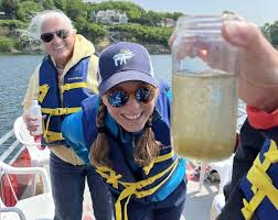 What a Difference a Day Makes: Lake Mendota Goes From Blue-Green to Crystal  Clear