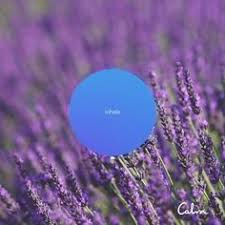 See actions taken by the people who manage and post content. Mental Health And Wellness
