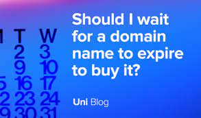 Should I Wait For A Domain Name To Expire To Buy It? - Uniregistry Blog
