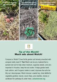 Maybe you would like to learn more about one of these? Gardening And Building Soil On A Budget Urban Harvest