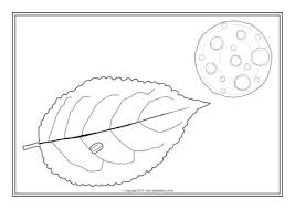 When we think of october holidays, most of us think of halloween. Hungry Caterpillar Colouring Sheets Sb11906 Sparklebox