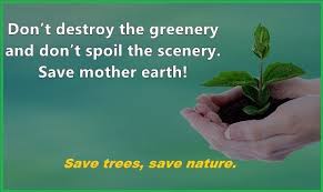 30 Catchy Slogans On Save Trees Best And Catchy Save Trees Slogan Save Trees Tree Slogan Save Trees Slogans