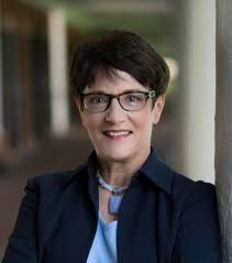 Nurses, the Dying, and the Newly Dead by Elayne Kornblatt Phillips & Beth  Epstein