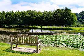 Nous commercialisons des produits de jardin 100% naturels pour jardiner sans pesticides ni engrais chimiques, ainsi que des outils et des accessoires. Le Jardin Des Personnalites Office De Tourisme De Honfleur