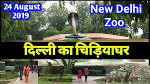 द ल ल क च ड य घर Delhi Zoo All Animals 24 August 2019 Youtube