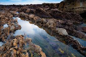 Maybe you would like to learn more about one of these? White Point Royal Palms Beach Beaches Harbors