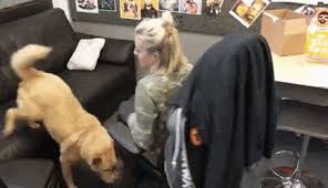 #funny #epic #cool #funhaus #gaming #gamer. Best Alekhines Gun Gameplay Gifs Gfycat