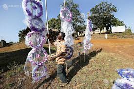 Liberia independence day greeting card. Liberia National Memorial Decoration Day Agerpres ActualizeazÄƒ Lumea
