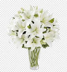 Check spelling or type a new query. White Lily Arrangement Floral Design Canada Easter Lily Flower Bouquet Ftd Companies White Lily Flower Arrangement Glass Flower Arranging White Png Pngwing
